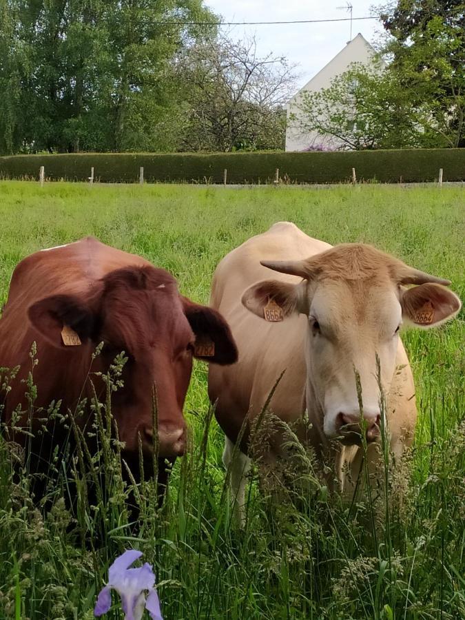 La Chaussee D'Olivet En Mayenne Bagian luar foto
