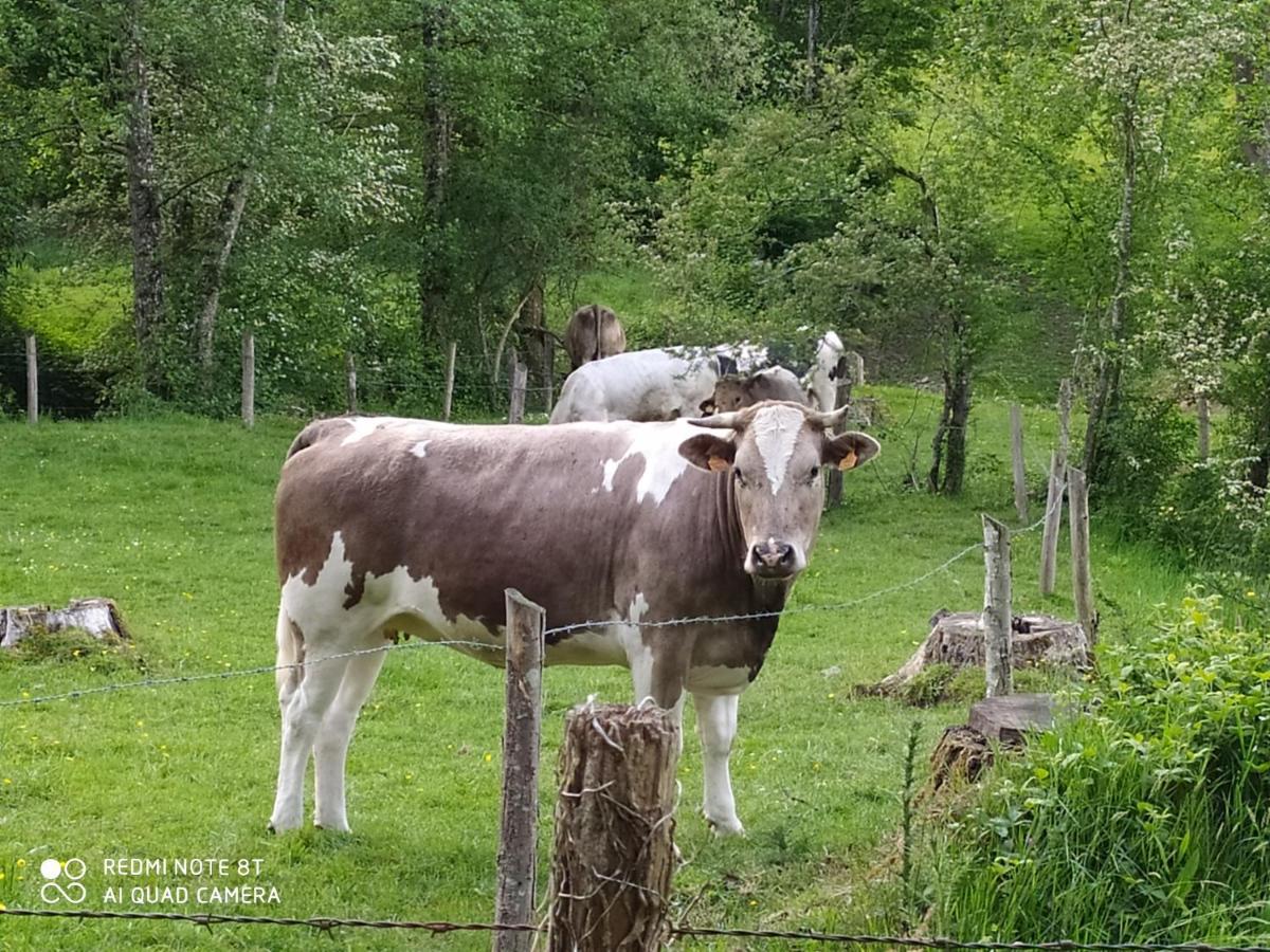 La Chaussee D'Olivet En Mayenne Bagian luar foto