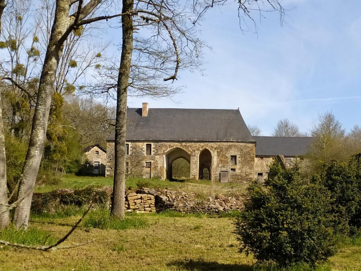 La Chaussee D'Olivet En Mayenne Bagian luar foto