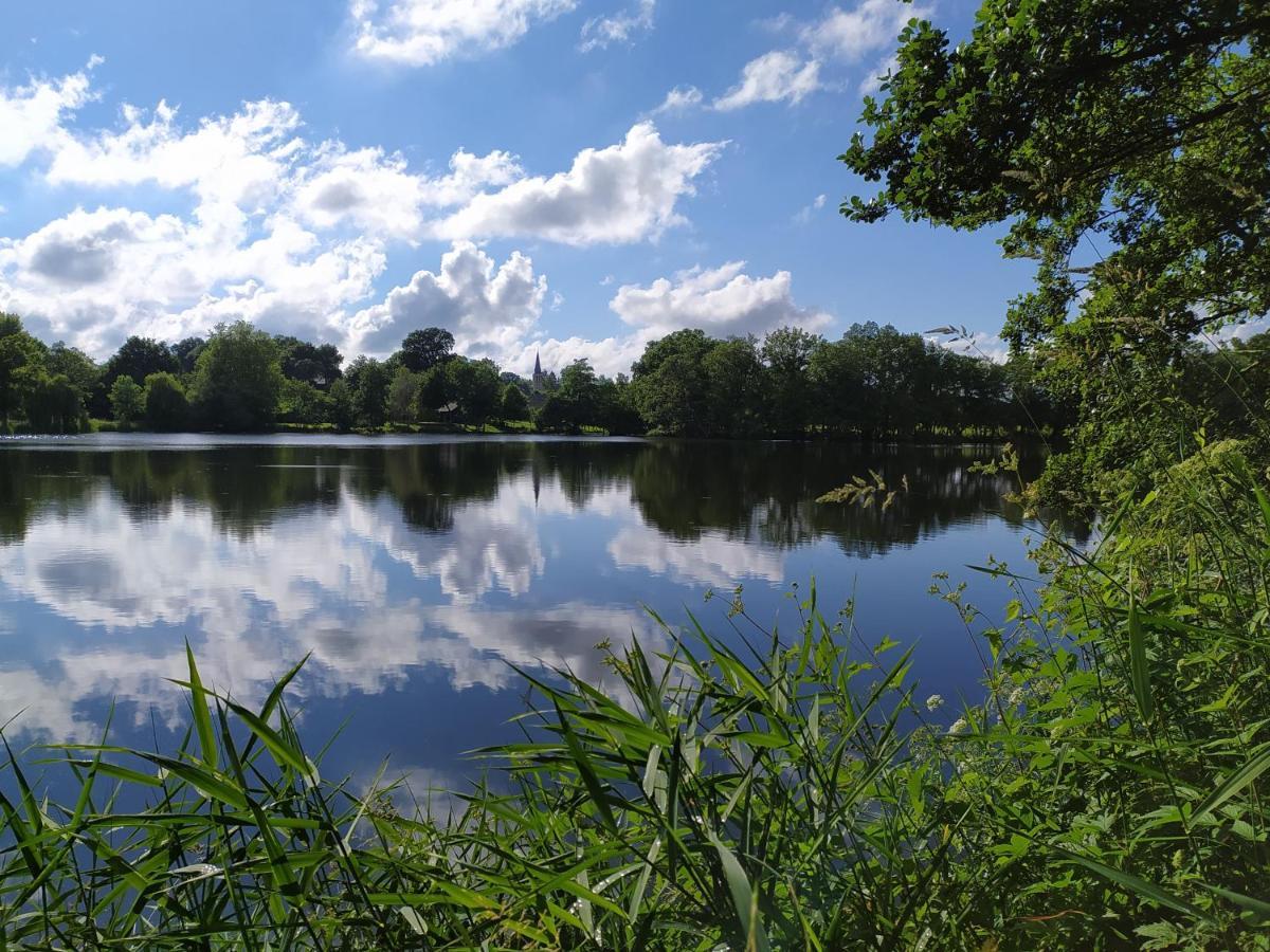 La Chaussee D'Olivet En Mayenne Bagian luar foto